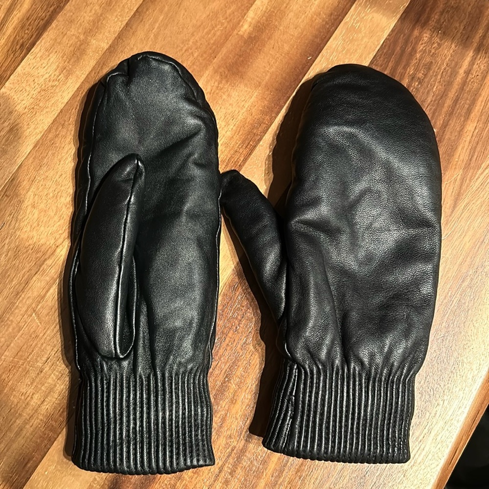 Babaton leather mitts from Aritzia .